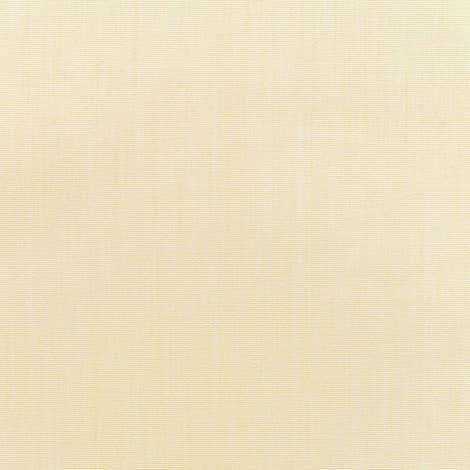 Canvas Vellum
 Fabric