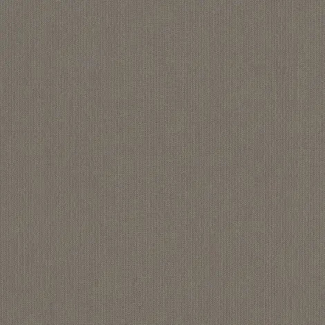 Spectrum Graphite